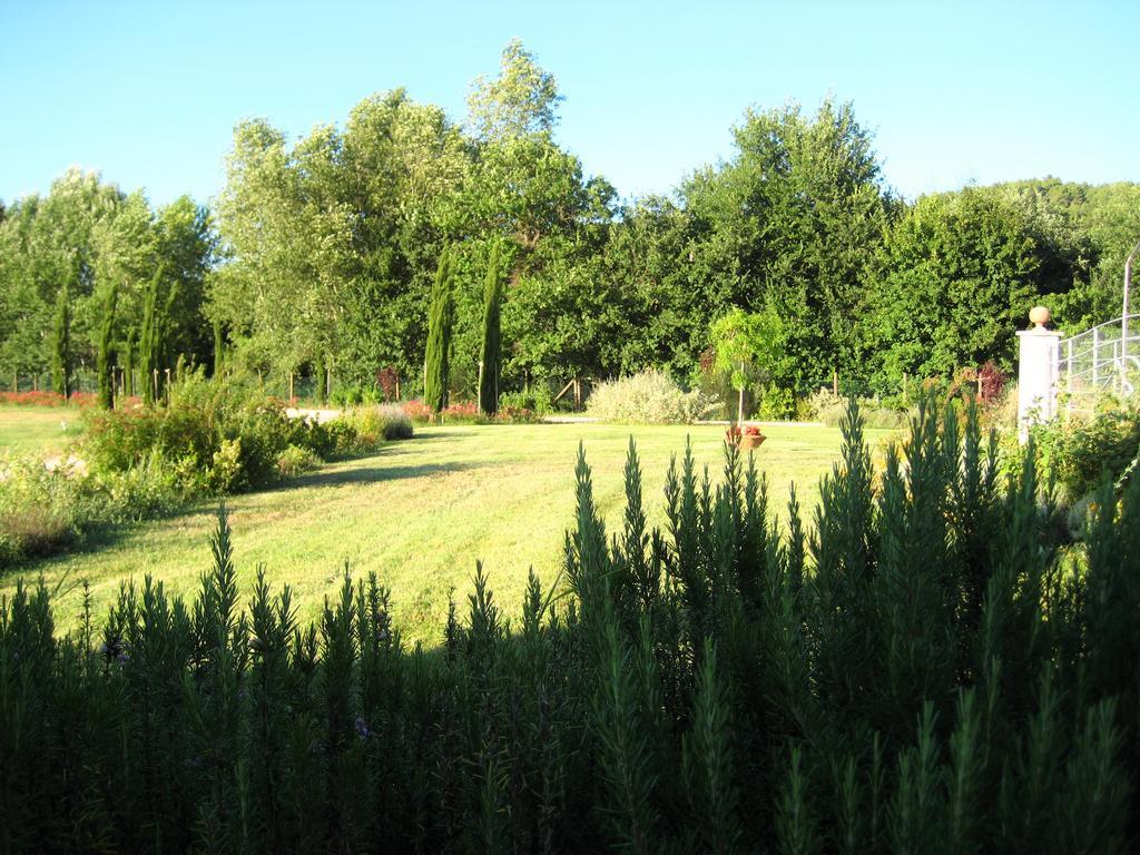 Agriturismo Il Molino Antico - 5 Girasoli Spoleto Eksteriør billede